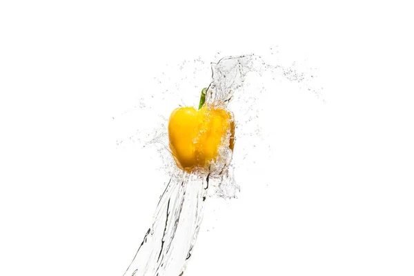 Жовтий болгарський перець у воді бризки ізольовані на білому — стокове фото