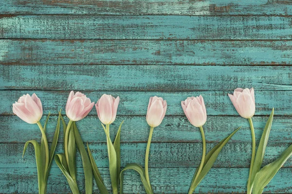 Tender blooming tulips over green wooden background with copy space — Stock Photo