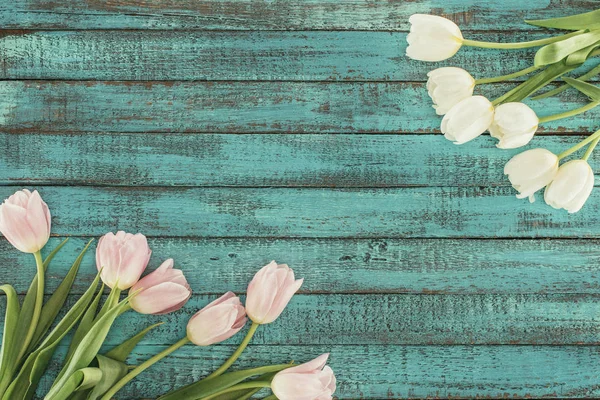 Tender blooming tulips over green wooden background with copy space — Stock Photo