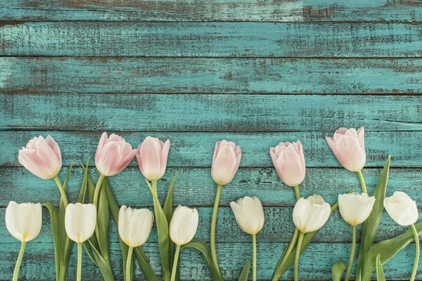 Tender blooming tulips over green wooden background with copy space — Stock Photo