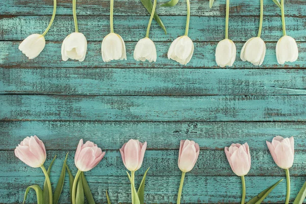 Tender blooming tulips over green wooden background with copy space — Stock Photo