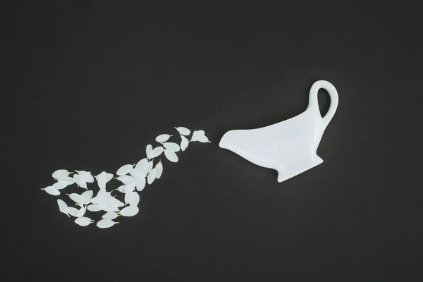 Ansicht der Teekanne mit weißen Blütenblättern isoliert auf schwarz — Stockfoto