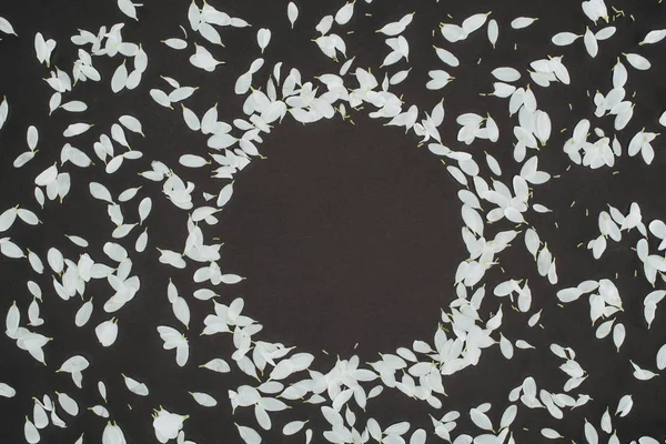 Top view of petals forming circle frame over black background — Stock Photo