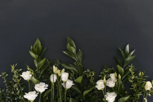 Top view of eustoma flowers and branches over black background — Stock Photo