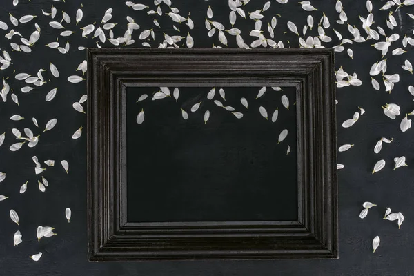 Top view of vintage wooden frame with petals over black background — Stock Photo