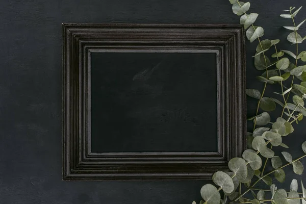 Top view of vintage wooden frame with eucalyptus branches over black background — Stock Photo