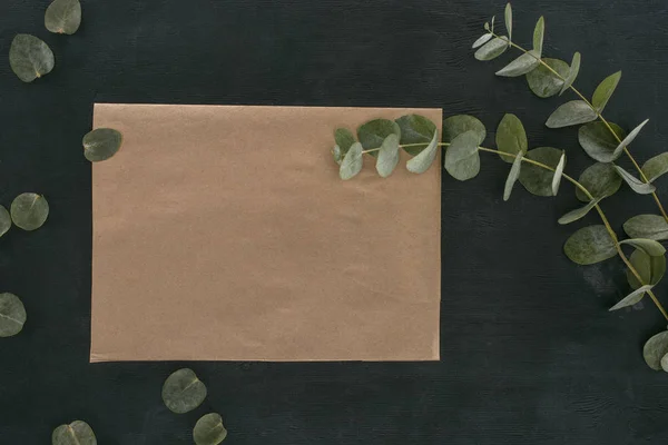 Top view of blank paper envelope with eucalyptus branches over black background — Stock Photo