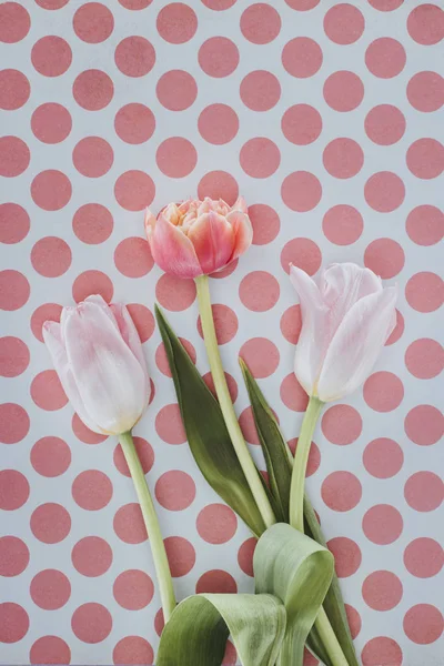 Hermosas flores de tulipán sobre fondo manchado - foto de stock