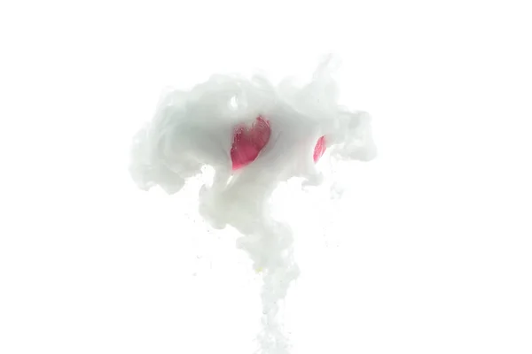 Vista de perto da flor rosa e pintura branca respingo isolado no branco — Fotografia de Stock