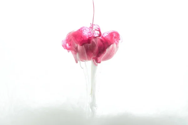 Nahaufnahme von rosa Blume und Farbspritzer isoliert auf weiß — Stockfoto