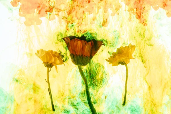Vue rapprochée des fleurs et des éclaboussures de peinture jaune — Photo de stock