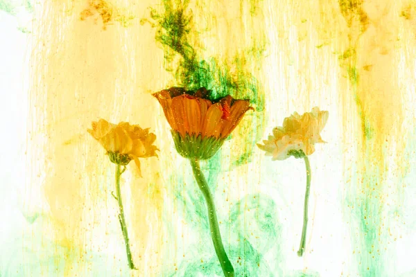 Vue rapprochée des fleurs et des éclaboussures de peinture jaune — Photo de stock