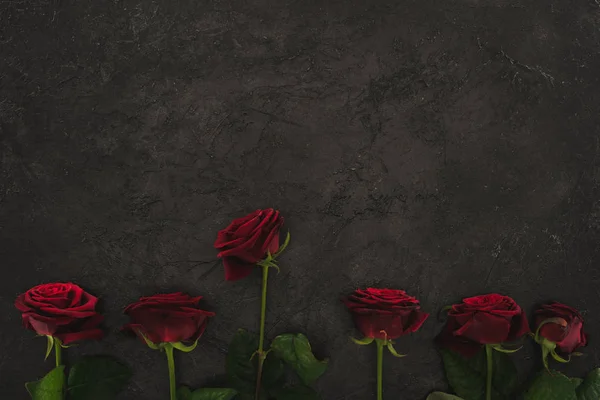 Верхний вид расположенных красных роз на темной поверхности — стоковое фото
