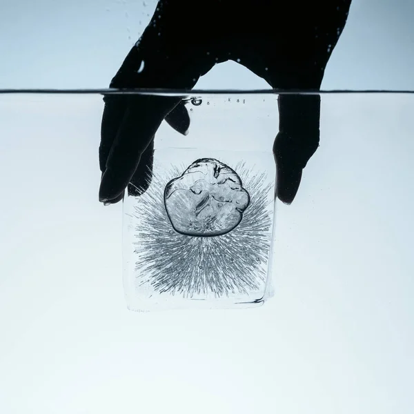 Vista recortada de la persona que sostiene el cubo de hielo en el agua, aislado en blanco - foto de stock