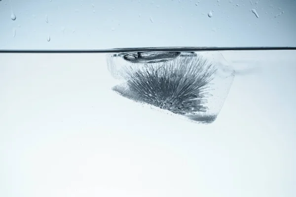 Glaçon dans l'eau, isolé sur blanc — Photo de stock