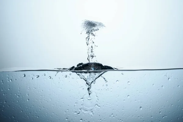 Cubo de hielo salpicando en agua con gotas, aislado en blanco - foto de stock