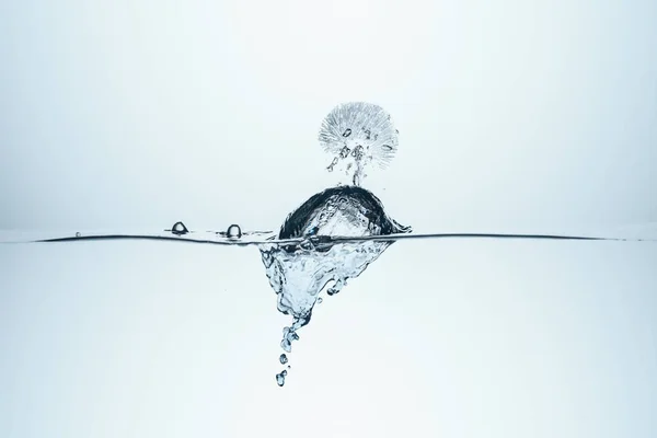 Cubo de hielo en agua con salpicadura, aislado en blanco - foto de stock