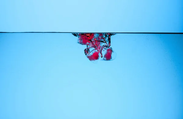 Cubos de gelo com cerejas em água, isolados em azul — Fotografia de Stock