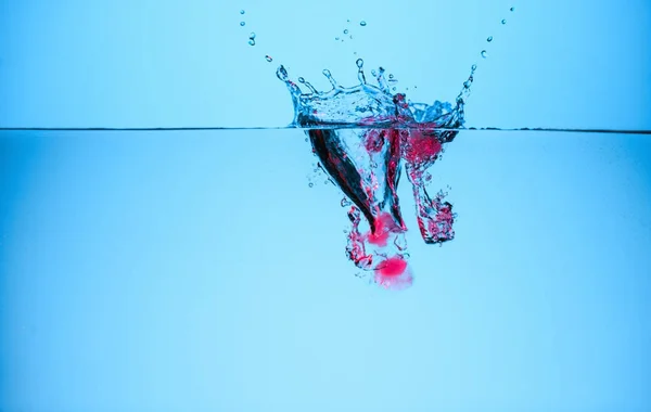 Cubitos de hielo con bayas en agua con salpicadura, aislados en azul - foto de stock