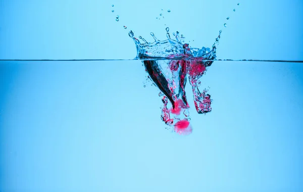 Ice cubes with berries in water with splash, isolated on blue — Stock Photo