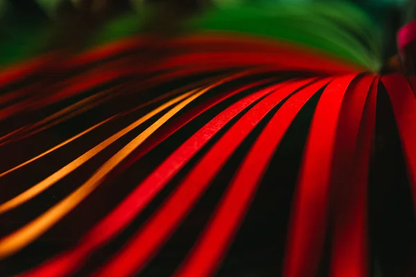 Close up view of green, yellow and red quilling striped paper — Stock Photo