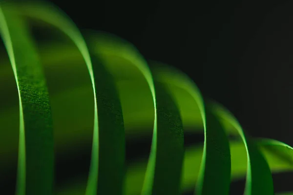 Close up view of green quilling striped paper on black — Stock Photo