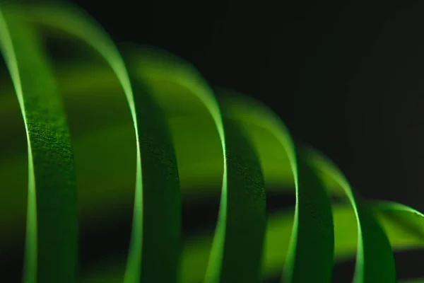 Vue rapprochée du papier rayé vert piquant sur noir — Photo de stock