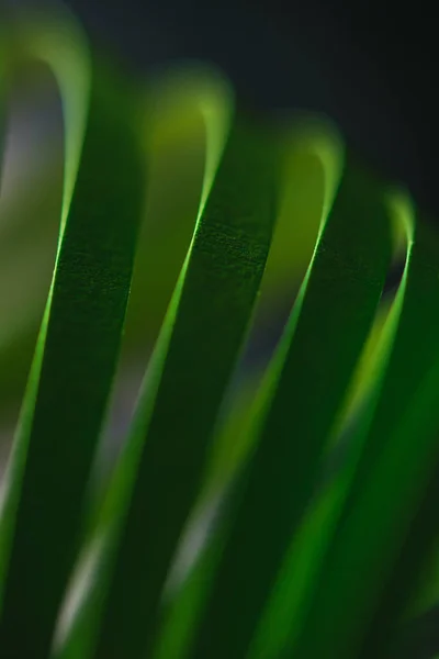 Close up view of green quilling striped paper on black — Stock Photo