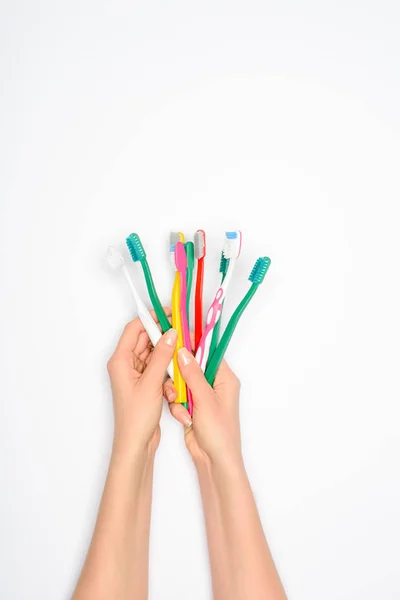 Vue recadrée de la femme tenant des brosses à dents colorées dans les mains, isolées sur blanc — Photo de stock
