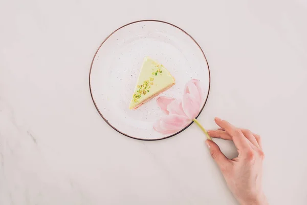 Tiro cortado da mão feminina, flor e pedaço de bolo na placa na mesa branca — Fotografia de Stock