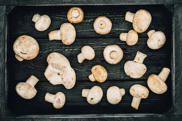 Vue de dessus des champignons dans la boîte en bois, concept d'épicerie — Photo de stock