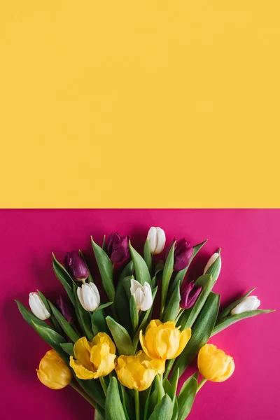 Vue de dessus des tulipes fraîches de printemps pour la journée internationale des femmes — Photo de stock