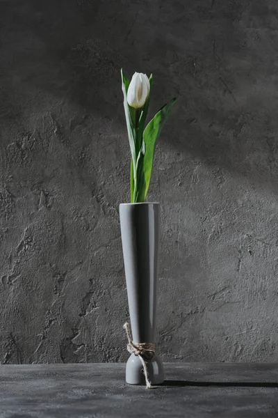White spring tulip in grey vase on grey concrete surface — Stock Photo