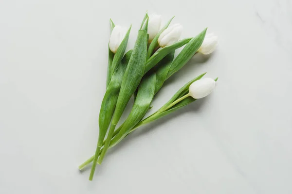 Vista dall'alto di mazzo di fiori di tulipano bianchi su bianco — Foto stock