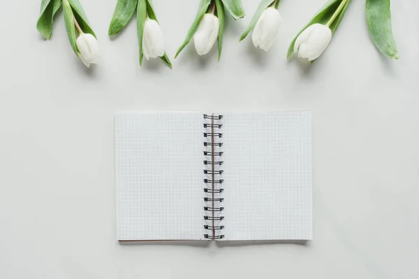 Vue du dessus du bloc-notes avec des tulipes blanches sur la surface blanche — Photo de stock