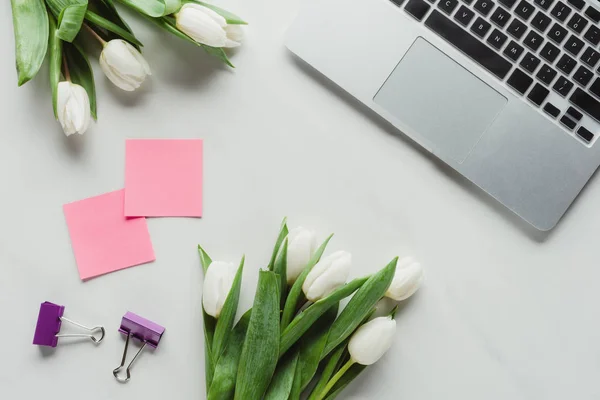 Flat lay with laptop, note stickers, paper clips and white tulips on white surface — Stock Photo
