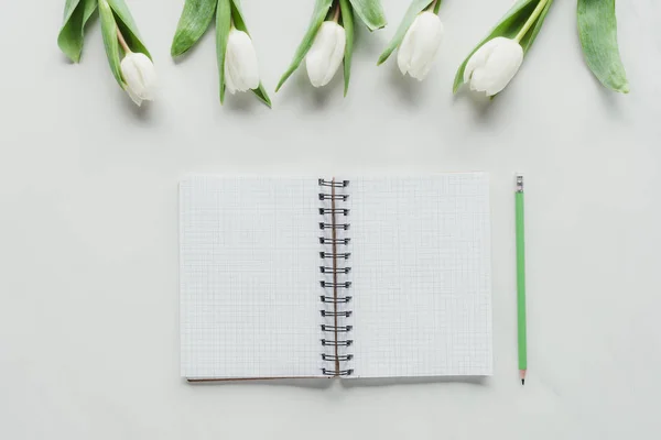 Vue du dessus du cahier et du crayon avec des tulipes blanches sur la surface blanche — Photo de stock