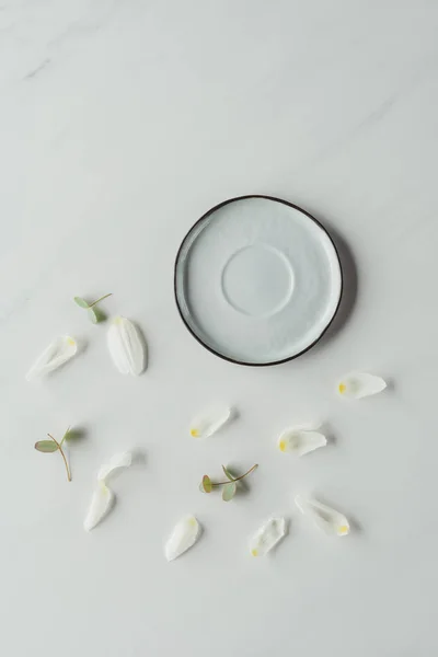 Вид сверху лепестков белого тюльпана и блюдца на белом — стоковое фото