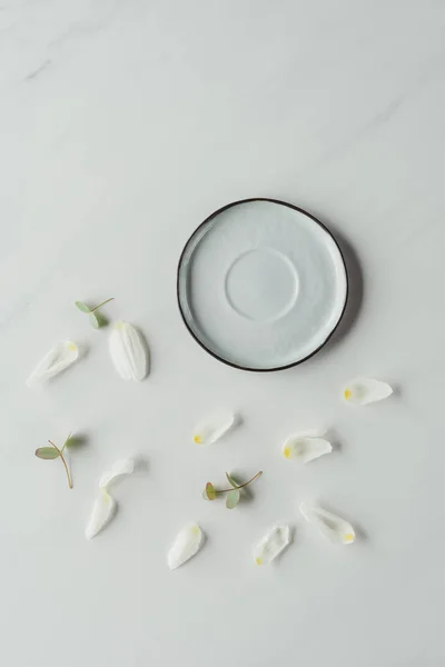 Vista dall'alto di petali di tulipano bianco e piattino su bianco — Foto stock