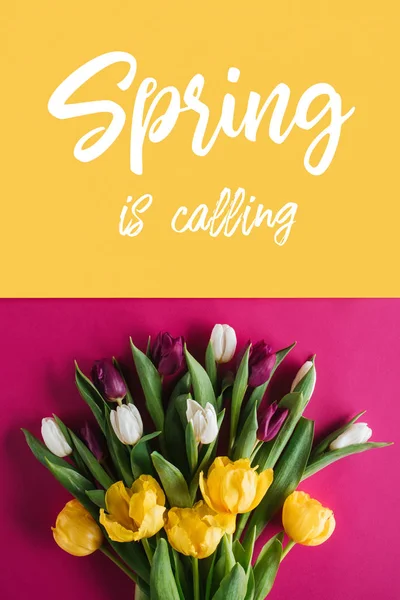 Top view of fresh spring tulips with Spring is calling lettering — Stock Photo