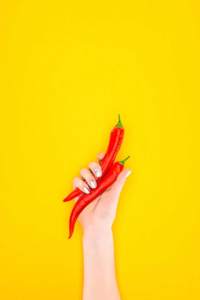 Cropped shot of person holding raw red chilli peppers in hand isolated on yellow — Stock Photo