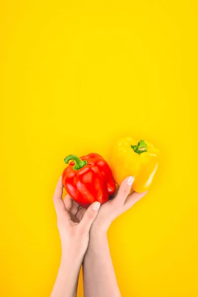 Tiro cortado de pessoa segurando pimentas orgânicas frescas em mãos isoladas em amarelo — Fotografia de Stock