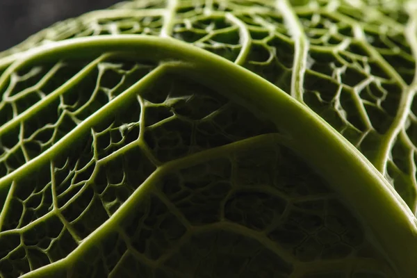 Texture of green fresh savoy cabbage leaf — Stock Photo