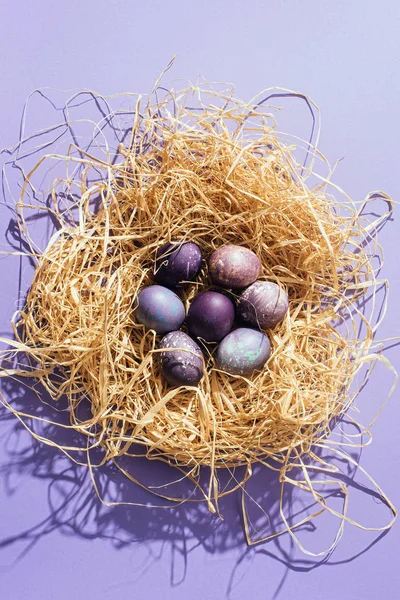 Nest — Stock Photo