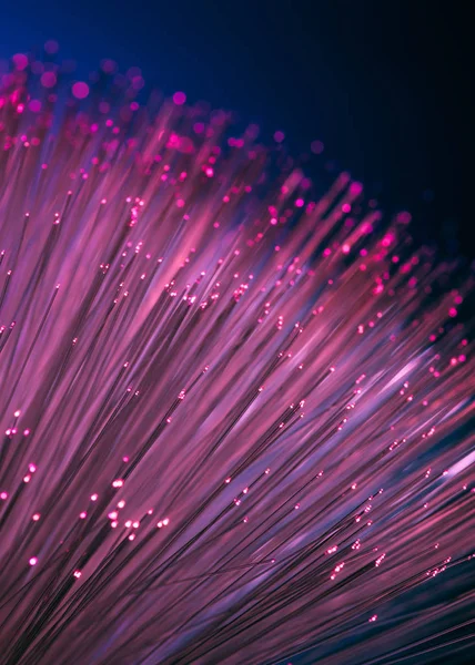 Close up of shiny pink fiber optics texture background — Stock Photo