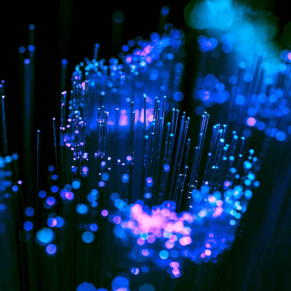 Selective focus of shiny blue and purple fiber optics background, communication technology — Stock Photo