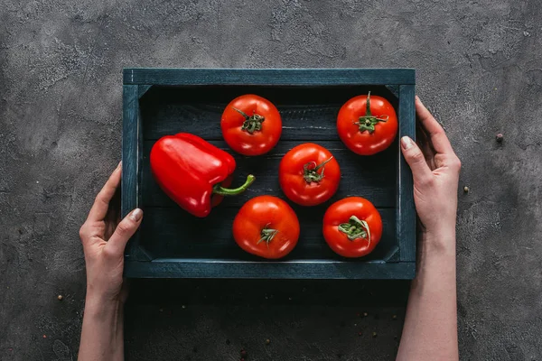 Tiro recortado de mujer sosteniendo tomates en caja en la superficie de hormigón - foto de stock