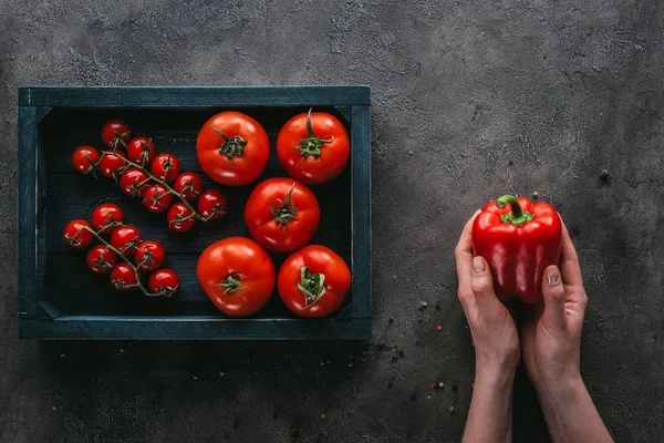 Cropped shot of woman holding bell pepper near box of tomatoes on concrete surface — Stock Photo