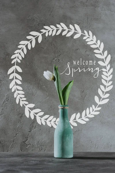 Tulipe printanière blanche en vase bleu et inscription BIENVENUE PRINTEMPS sur surface grise — Photo de stock