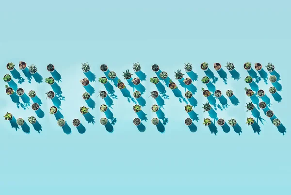 Вид зверху на слово літо з зелених горщиків на синьому — стокове фото